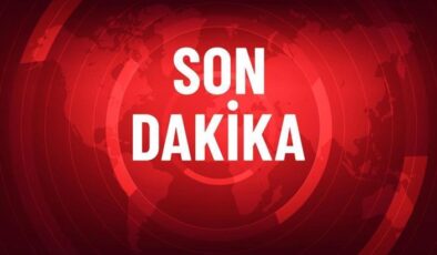 Ülkeyi yangın yerine çeviren devlet başkanı görevden alındı