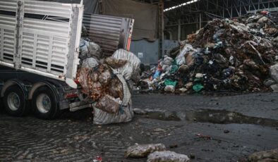 Her mutfağa giriyor! Hastalık belirlendi, tonlarcası imha edildi