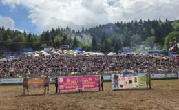 Kafkasör Festivali Boğa Güreşleriyle Sona Erdi